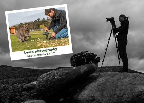 photography students taking photographs