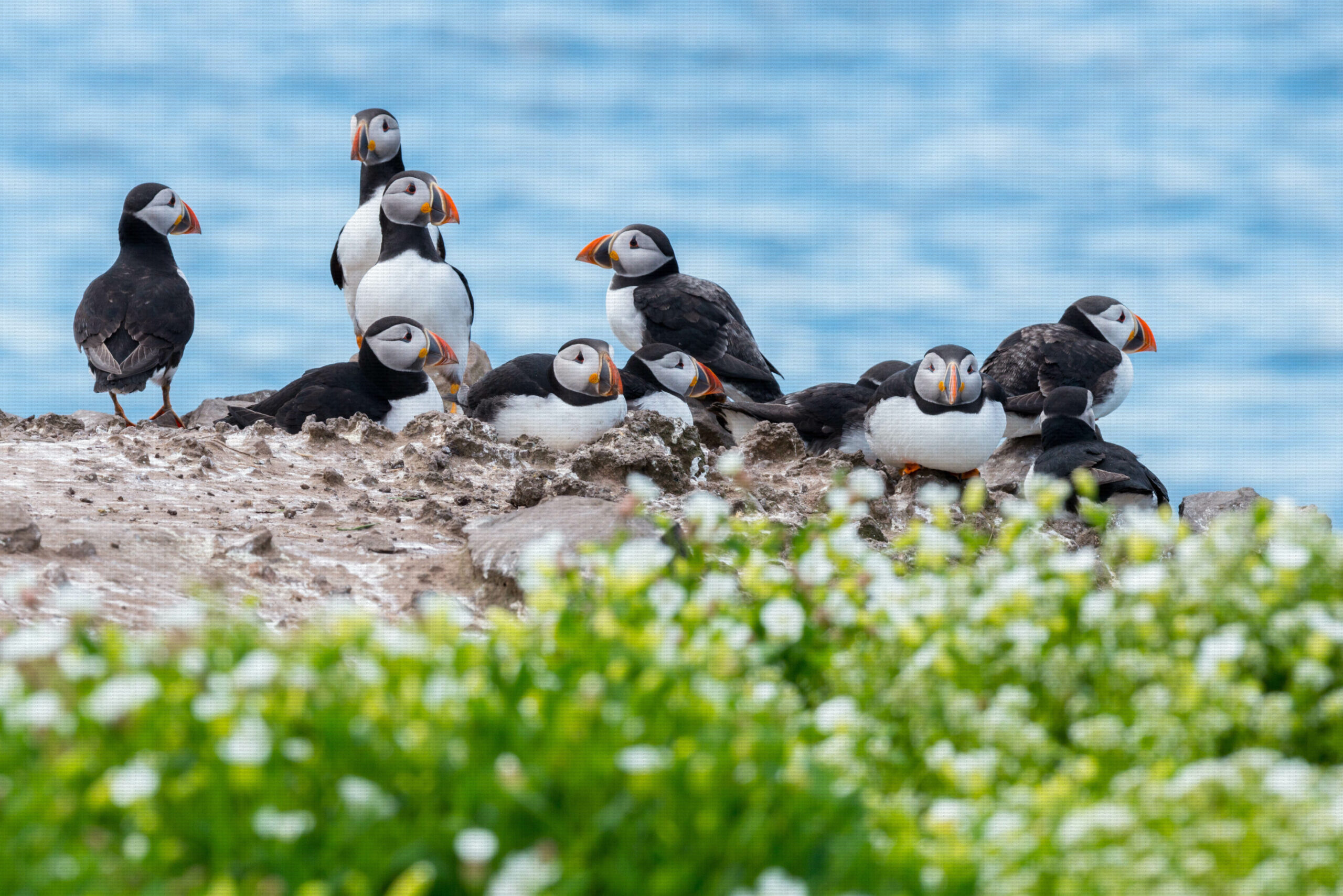 Shop for Beara Creative prints and cards. Natural world and underwater photography available for sale.