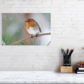 Robin in snowfall photographic print - 30cm x 42cm, 11.7inches x 16.5inches, Print only