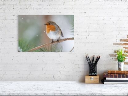 Robin in snowfall photographic print - Image 3