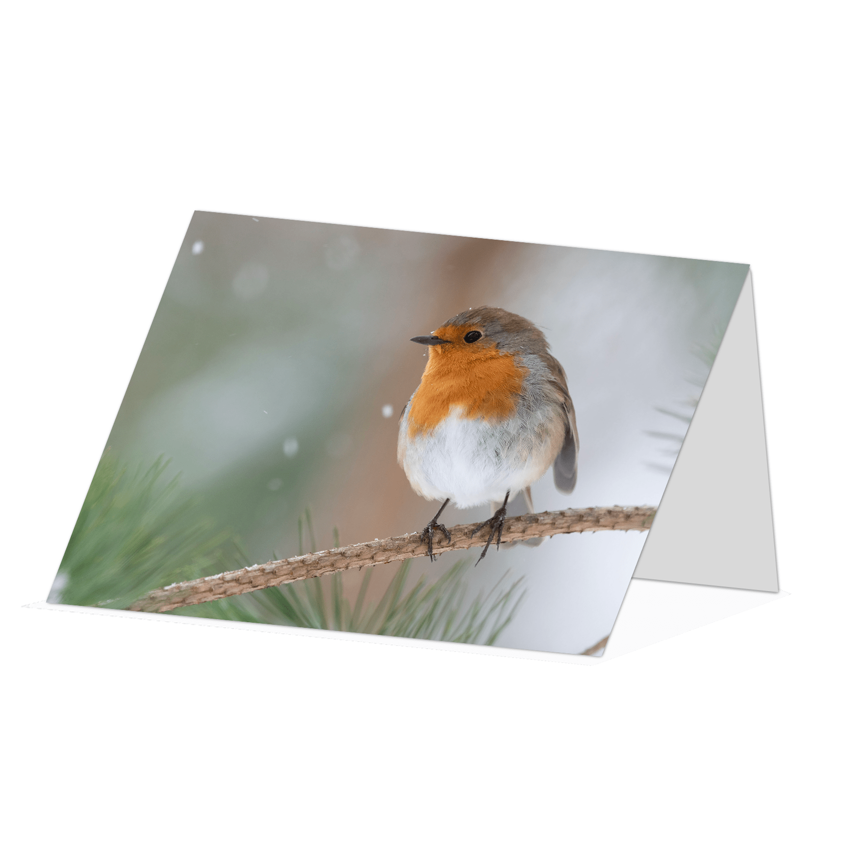 Robin in snow Greetings card