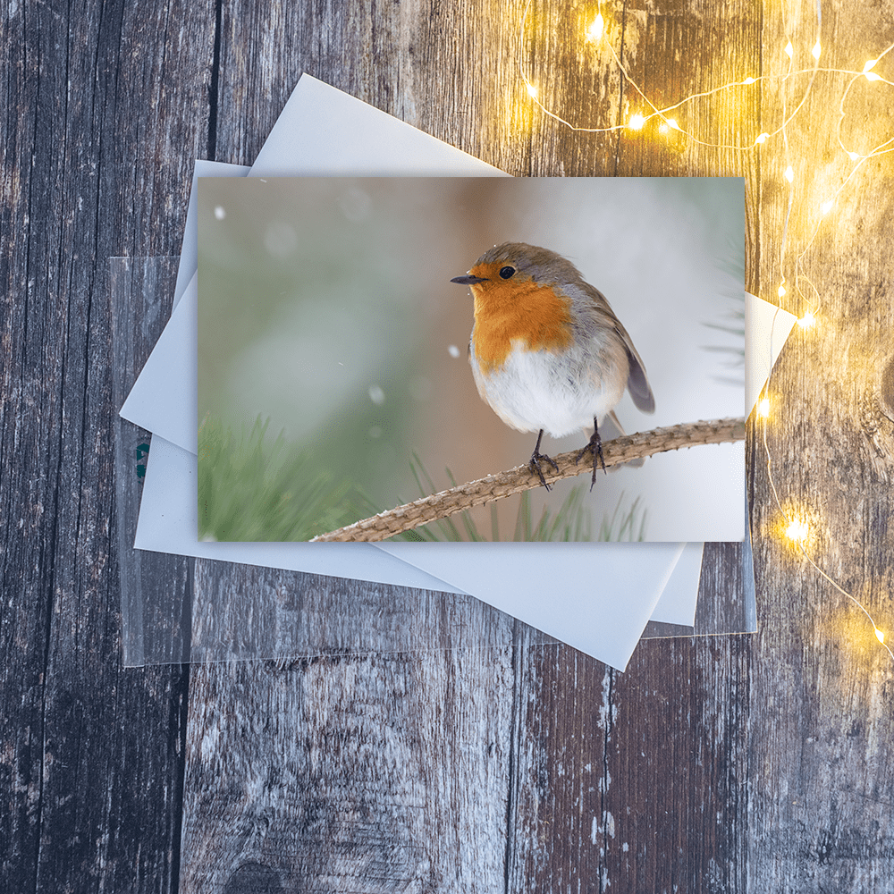 Robin in snow Greetings card - Image 2