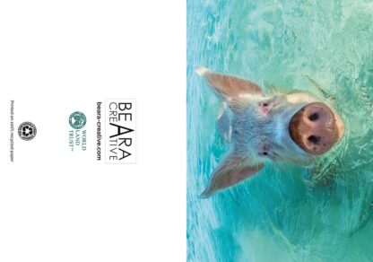 Swimming pig in the Bahamas Greetings card - Image 4
