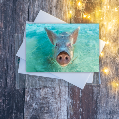 Swimming pig in the Bahamas Greetings card - Image 2