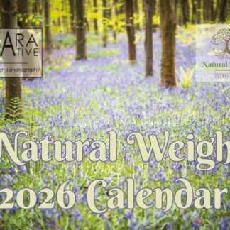 Calendars