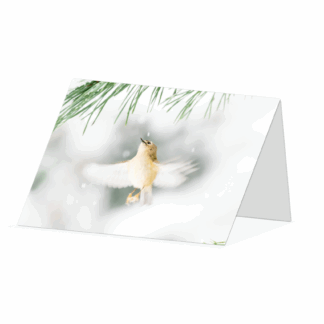 Goldcrest in Flight Greetings Card